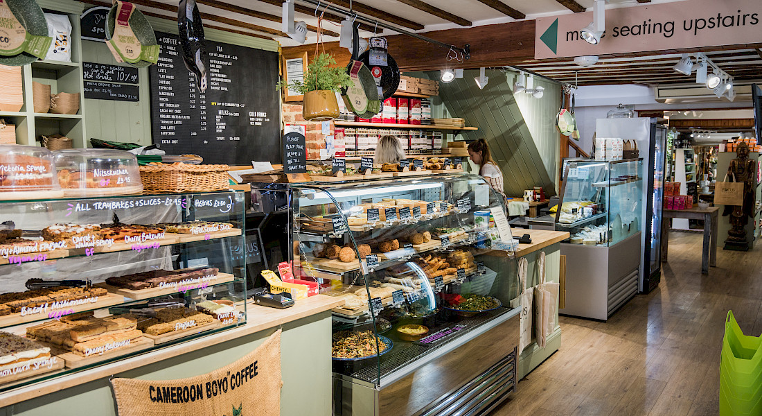 Welcome to the new Focus Organic website